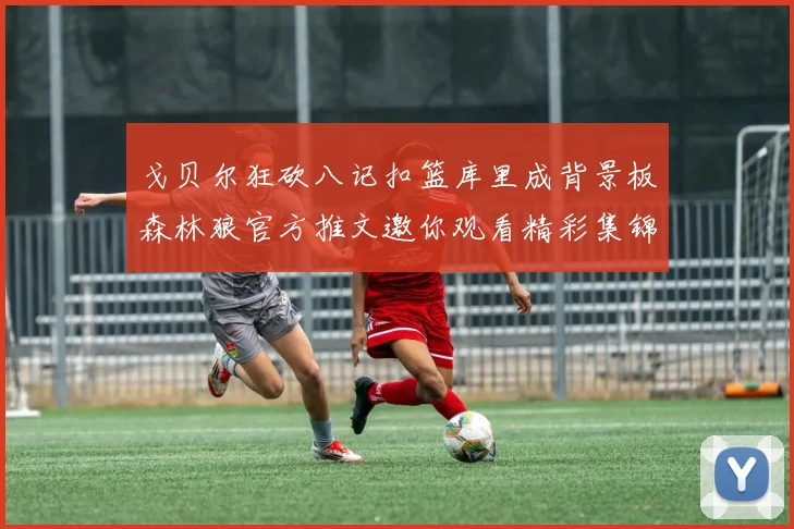 戈贝尔狂砍八记扣篮库里成背景板森林狼官方推文邀你观看精彩集锦