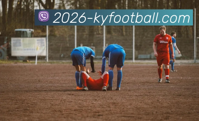 开云足球服务体系